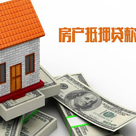 红花岗贷款公司新渝启服怎么选择